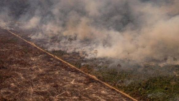 Instituto Socioambiental advierte sobre el aumento de la deforestación de tierras indígenas en Brasil Latinoamérica