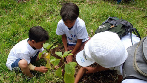 Plan Verde: Ecuador lanza programa de reforestación para su ecosistema Medio Ambiente