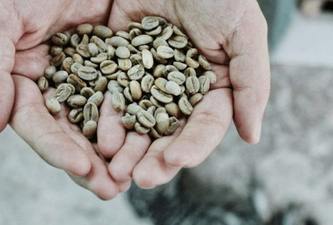 EE.UU. compró 70 toneladas de café a Venezuela Venezuela