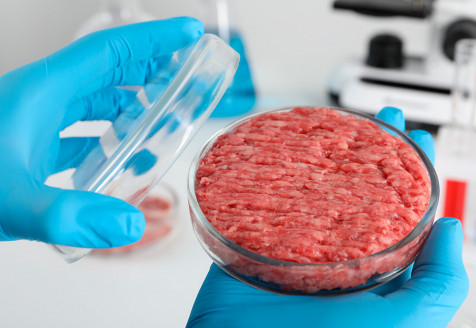 EE. UU. aprueba carne cultivada en laboratorio para consumo humano Actualidad