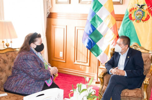 Bolivia insta a EE. UU. y Brasil a no intervenir en asuntos internos como el caso Áñez Latinoamérica