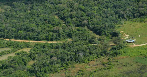 ¿Corre Colombia el riesgo de sufrir incendios forestales como los de la Amazonía? Latinoamérica