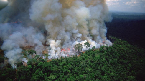 Más de 74 mil incendios se han producido en la Amazonia brasileña en el presente año Latinoamérica