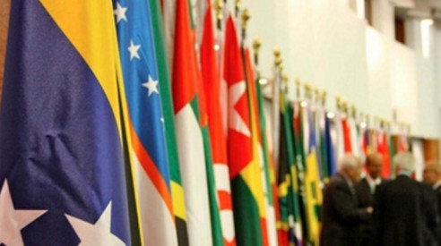 Cumbre virtual del Mnoal contó con la participación de Venezuela Latinoamérica