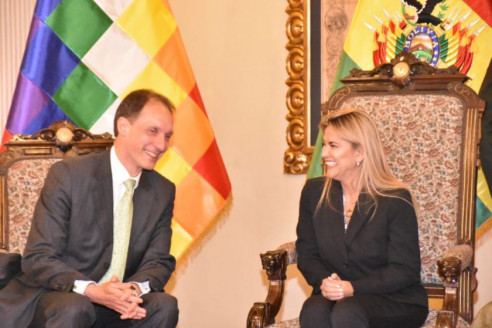 Nuevo embajador de Alemania se presenta ante gobierno de facto dirigido por Jeanine Áñez Latinoamérica