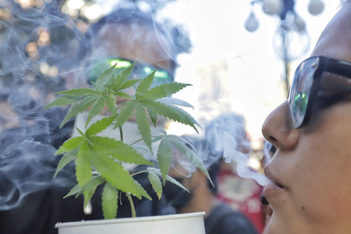 SCJN afirma que seguirá vigente el límite de posesión legal de mariguana México