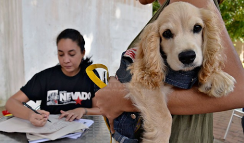 Pandemia: Venezuela no olvida a las mascotas ante el COVID-19 Venezuela