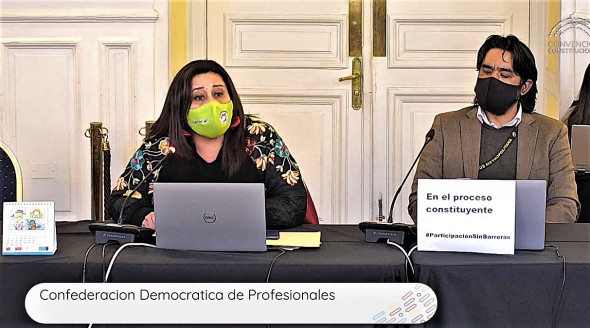 Profesionales de la Salud en la subcomisión de DDHH de la Convención: Necesitamos un mecanismo de rendición de cuentas para que las autoridades asuman la responsabilidad de sus acciones Chile