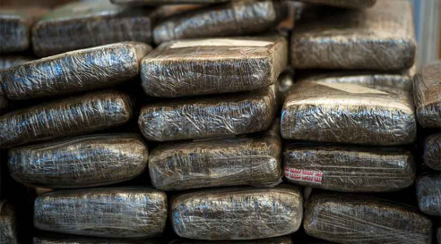 Reforma de la Ley Orgánica de Drogas contempla nuevos delitos Actualidad