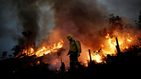 Cerca de cinco mil incendios se registraron en la Amazonía brasileña en julio del presente año Latinoamérica