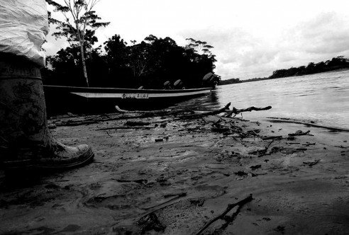 Galápagos, Guayas y Manabí: Ecuador enfrenta crisis por más 1.000 delitos ambientales en seis años Reportajes & Investigación