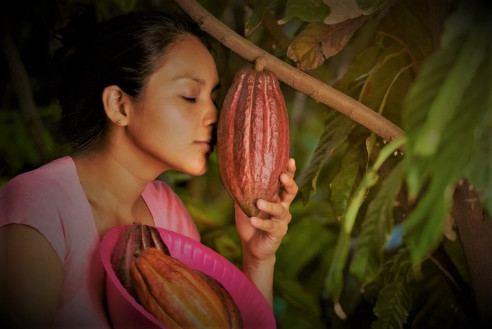 Mujeres mexicanas entregan su amor al cacao y el chocolate México
