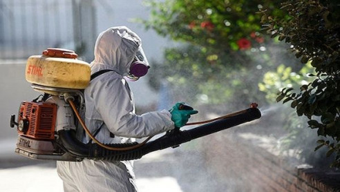 En menos de una semana, Uruguay reporta segundo caso de dengue autóctono Latinoamérica