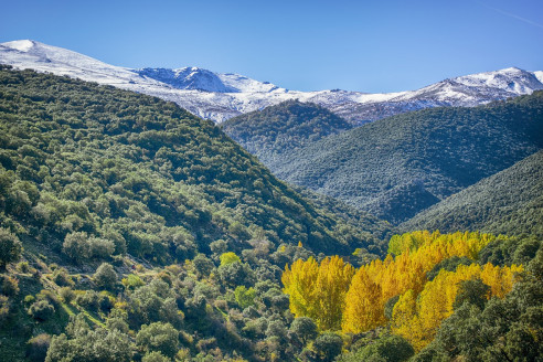 Propondrán que la Sierra Nevada colombiana sea declarada Patrimonio de la Humanidad Latinoamérica