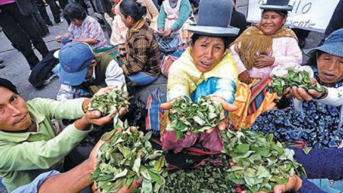 Bolivia: Cocaleros denuncian violación de DD. HH. durante la cuarentena Justicia y DD.HH