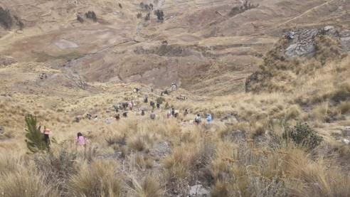 Al menos 21 muertos dejó un accidente de autobús en Bolivia