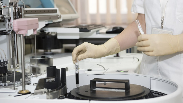 OMS identifica las enfermedades más peligrosas que amenazan el planeta en 2023 Salud