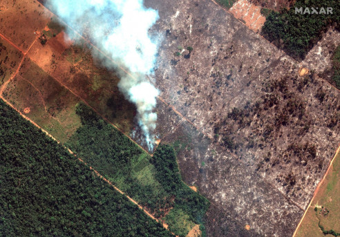 Fiscalía de Brasil investiga incendios planeados en la Amazonía Latinoamérica
