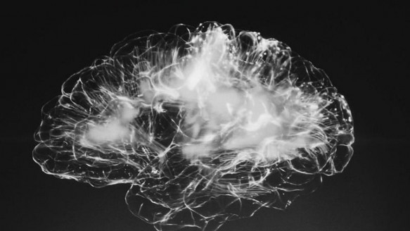 Las partículas tóxicas del aire inhaladas pueden pasar del pulmón al cerebro y causar daños neurológicos Salud