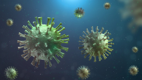 Una mutación en los genes del COVID-19 le permite infectar por una ruta alterna Salud