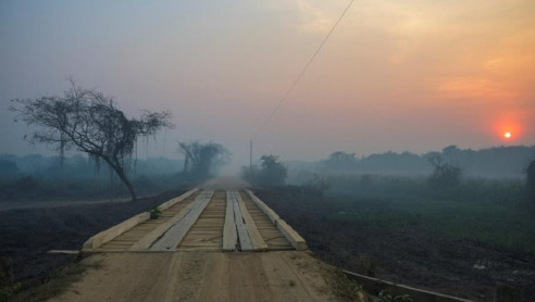 Declaran situación de emergencia en estado brasileño por incendios del Pantanal Brasil