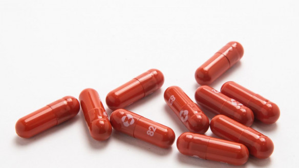 Molnupiravir: presentan pastilla que reduce a la mitad riesgo de muerte por COVID-19 Salud
