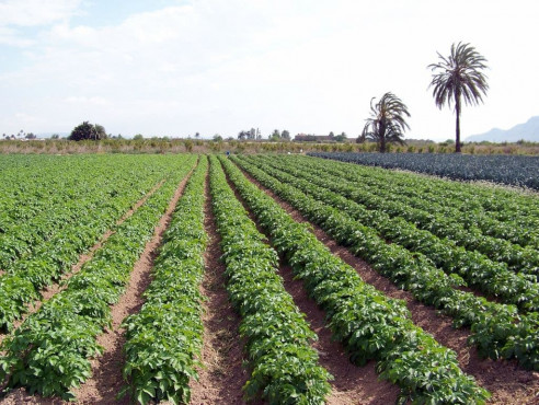 Venezuela busca sustitución ecológica para agroquímicos Venezuela
