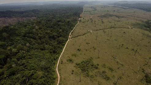 Brasil: Cámara de Diputados aprueba proyecto de ley para regular tierras ocupadas ilegalmente Actualidad