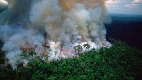 Bolsonaro: Tratar incendios amazónicos en ausencia de países regionales es 