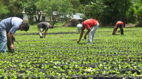 Agricultura en Venezuela: desafío ante la falta de combustible por sanciones económicas Venezuela
