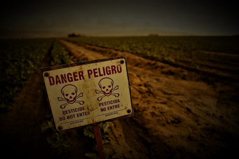 Pesticidas, el turbio negocio europeo: 1,4 M de intoxicados en Brasil por comprar veneno prohibido en primer mundo Reportajes & Investigación