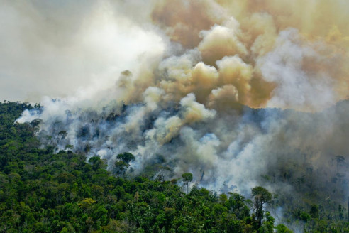 Brasil: suspenden combate de incendios en todo el país por falta de recursos económicos Actualidad