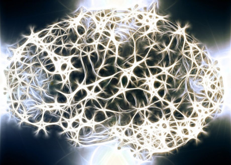 Descubren 75 genes vinculados al Alzheimer y se abre el camino para un diagnóstico temprano Salud