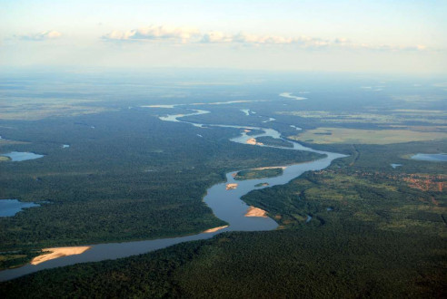 Organización brasileña denuncia uso ilegal de agrotóxicos: Cayó en represa que abastece de agua a más de 10 millones de habitantes Latinoamérica