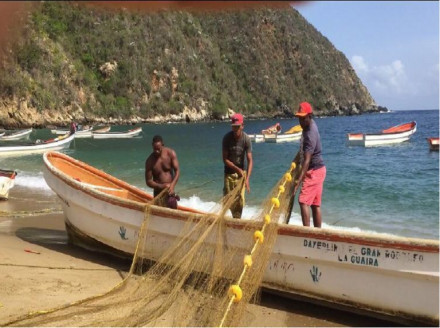 Más de mil consejos de pescadores ha organizado Insopesca Venezuela