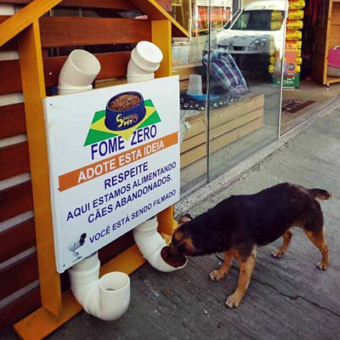 Hambre Cero: El “restaurante” que un brasileño creó para los perros callejeros Latinoamérica