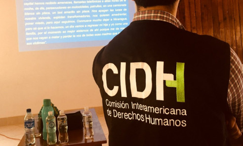 México preocupado por acciones de la secretaría general de OEA contra CIDH México