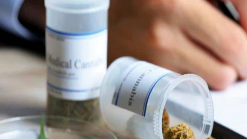 Corte de México ordena reglamentar el uso medicinal de la marihuana Salud