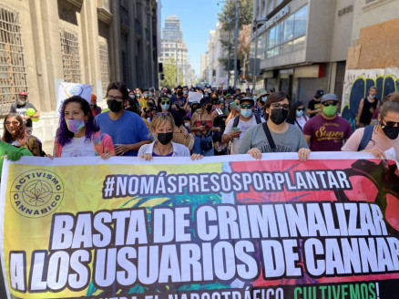 Masiva caminata cannabica exige terminar con criminalización de cultivo medicinal Chile