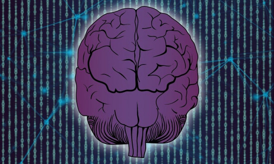 Estos alimentos pueden exponer el cerebro a enfermedades neurológicas Salud