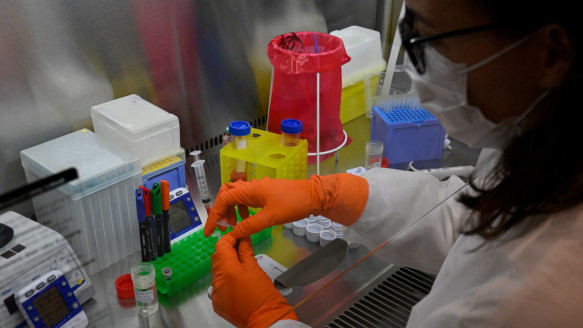 Desarrollan un nuevo tipo de anticuerpos capaces de neutralizar la ómicron y futuras variantes del coronavirus Salud