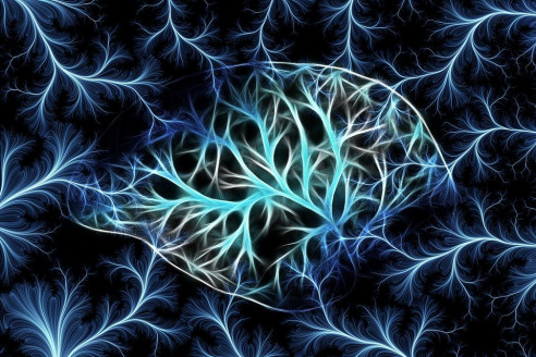 Usarán células madre del cerebro humano para perfeccionar microchips Ciencia y Tecnologí­a