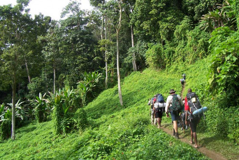 Colombia comenzó apertura progresiva de parques nacionales naturales para el turismo Colombia