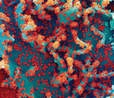 Ómicron podría impactar el curso de pandemia advierte OMS México