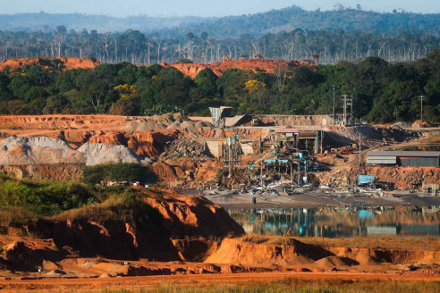 Planes de Bolsonaro en la Amazonia son un peligro para la vida en el planeta Medio Ambiente