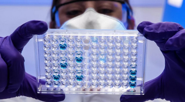 Científicos rusos develan patrón de los nuevos coronavirus Salud