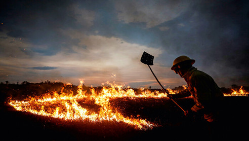 Incendios han arrasado 23 % del área del Pantanal brasileño y el fuego continúa Actualidad