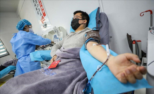 Aplicación de plasma en Paraguay evita que 30% de internados con covid-19 usen respirador Actualidad