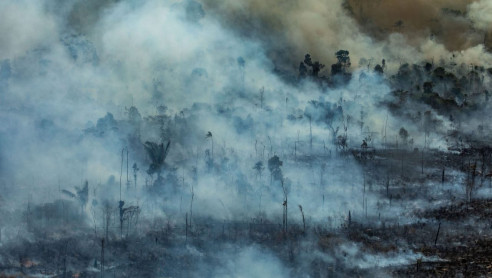 Greenpeace por incendios en Amazonía: