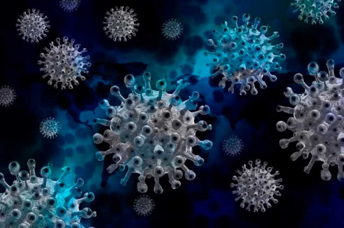 Detectan otros sublinajes de la variante Ómicron en Uruguay Salud